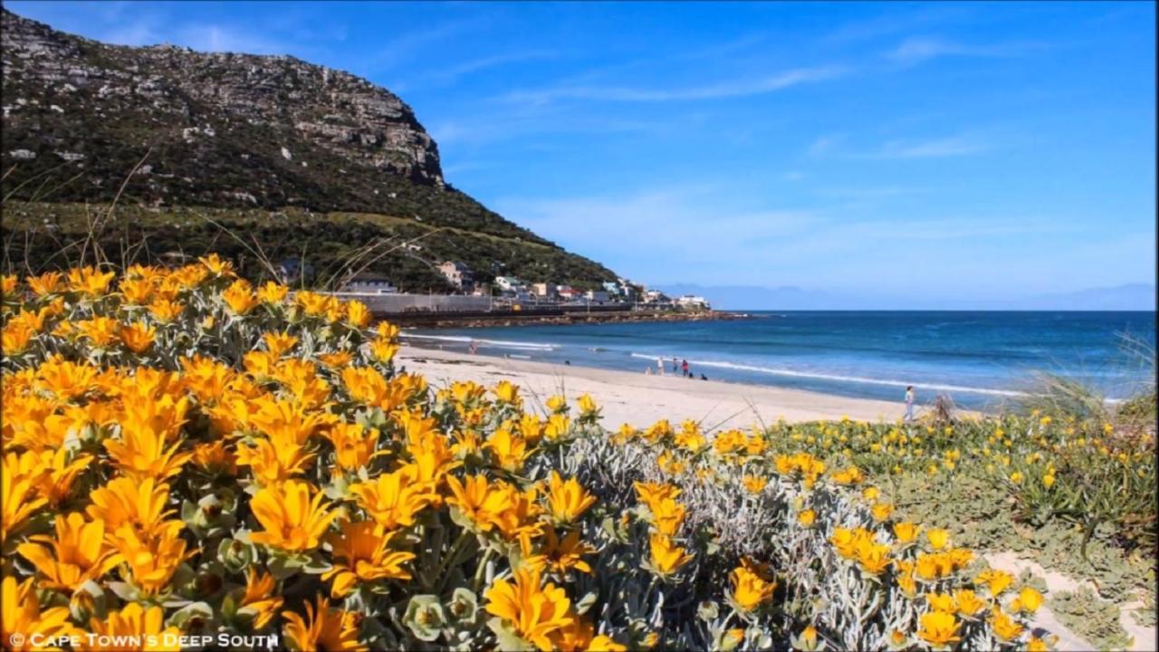 Paradise On The Bay Fish Hoek Exterior photo